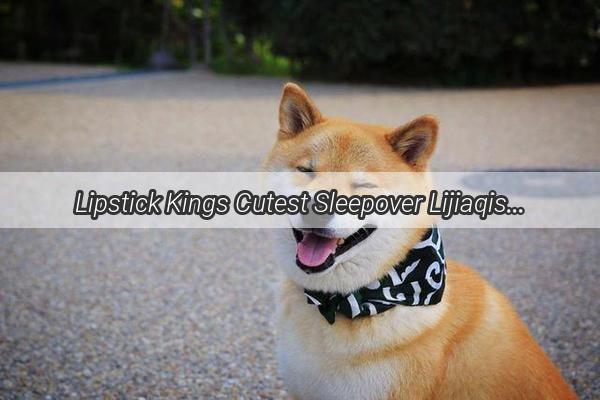 Lipstick Kings Cutest Sleepover Lijiaqis Doggo Delights Viewers with a Snooze Session